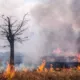 275.000 hectáreas quemadas