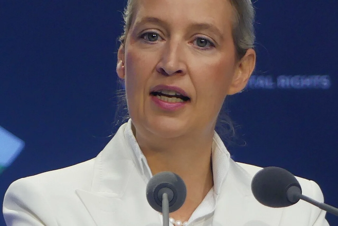 Alice Weidel n1 de ADF