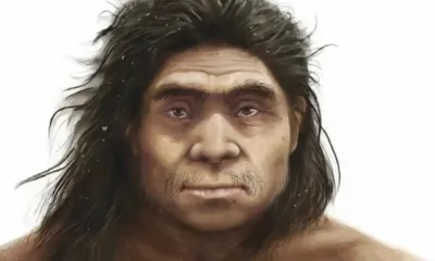 Así era el rostro de los denisovanos