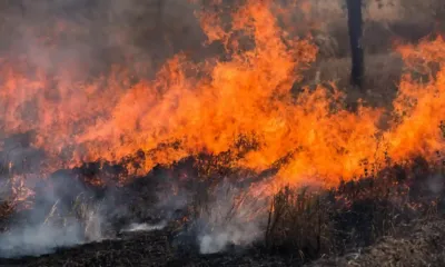 Controlado el incendio de Nigrán
