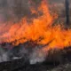 Controlado el incendio de Nigrán