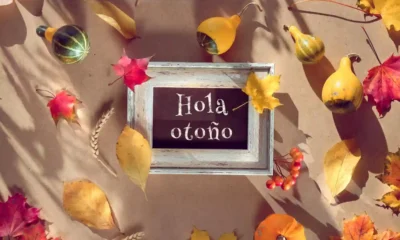 El 2 de noviembre será festivo