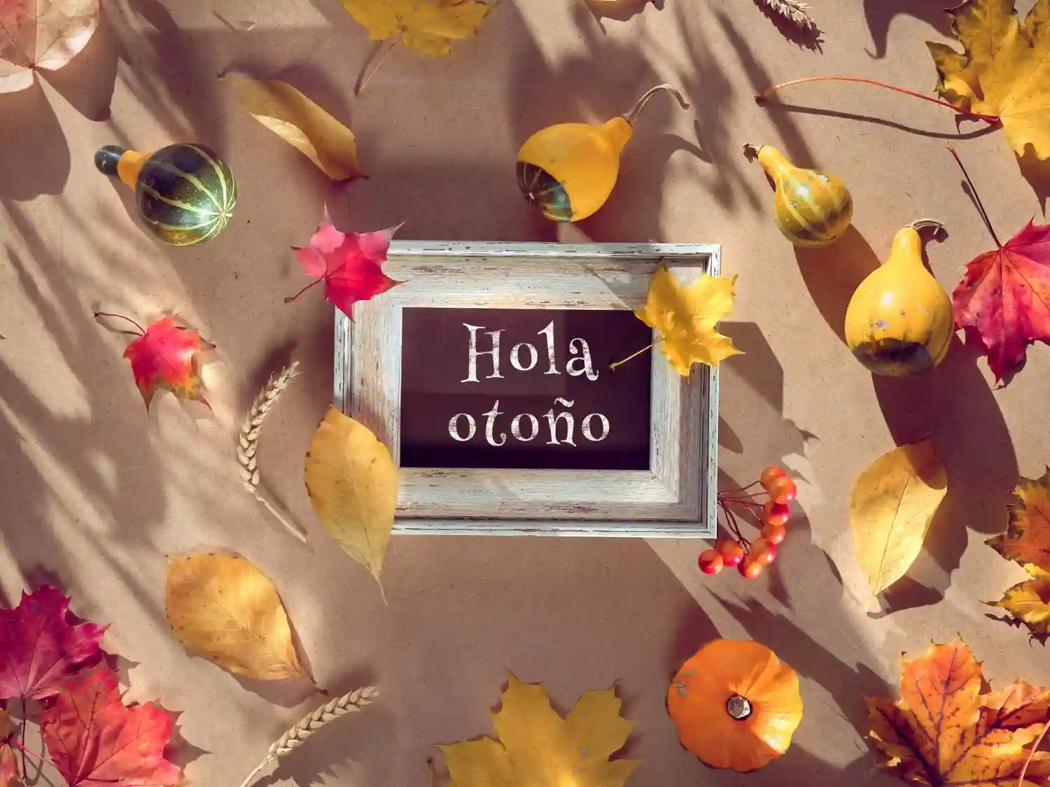 El 2 de noviembre será festivo