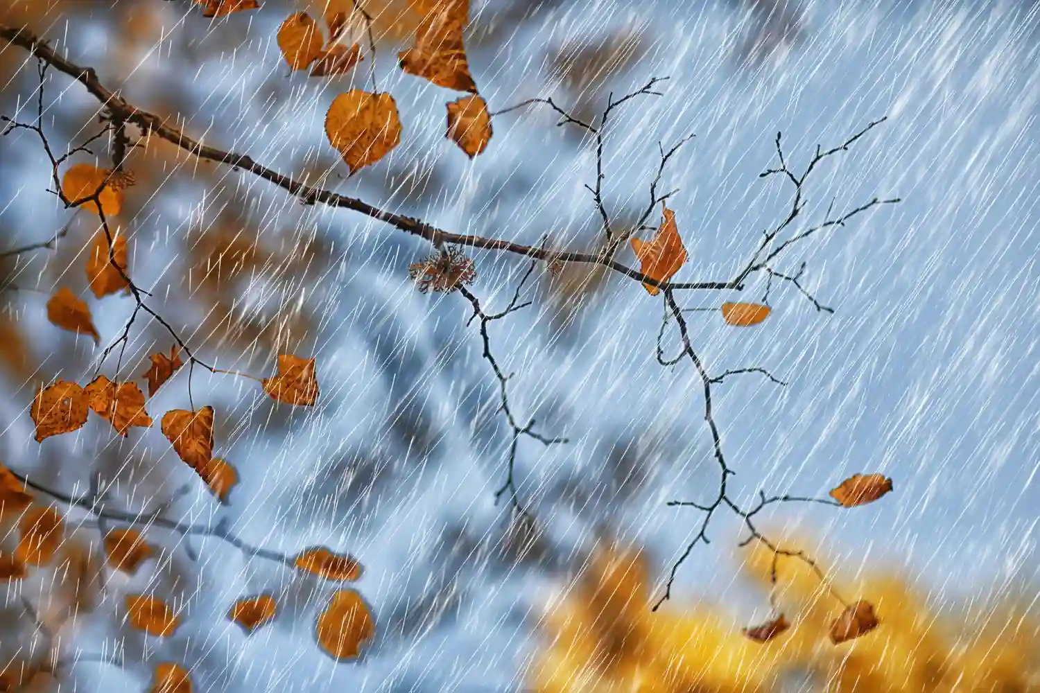 El tiempo en España hoy, 8 de octubre