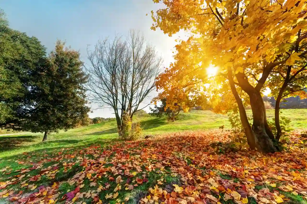 El tiempo en España hoy 9 de octubre