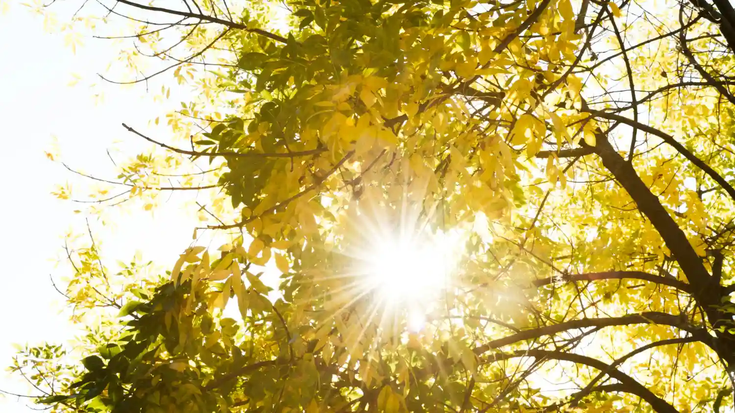 España tendrá calor anómalo