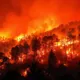 Incendios en España hoy