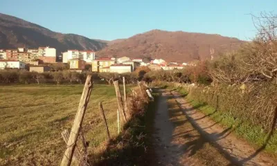 Losar de la Vera
