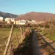 Losar de la Vera