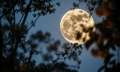 Luna llena de octubre 2026