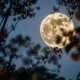 Luna llena de octubre 2026