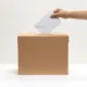 Mano pone voto en una urna