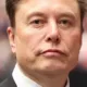 Musk en un evento de cinema