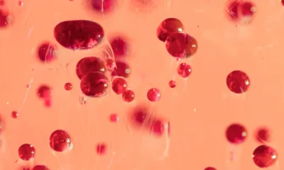 Rejuvenecen células de sangre