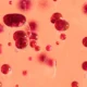 Rejuvenecen células de sangre