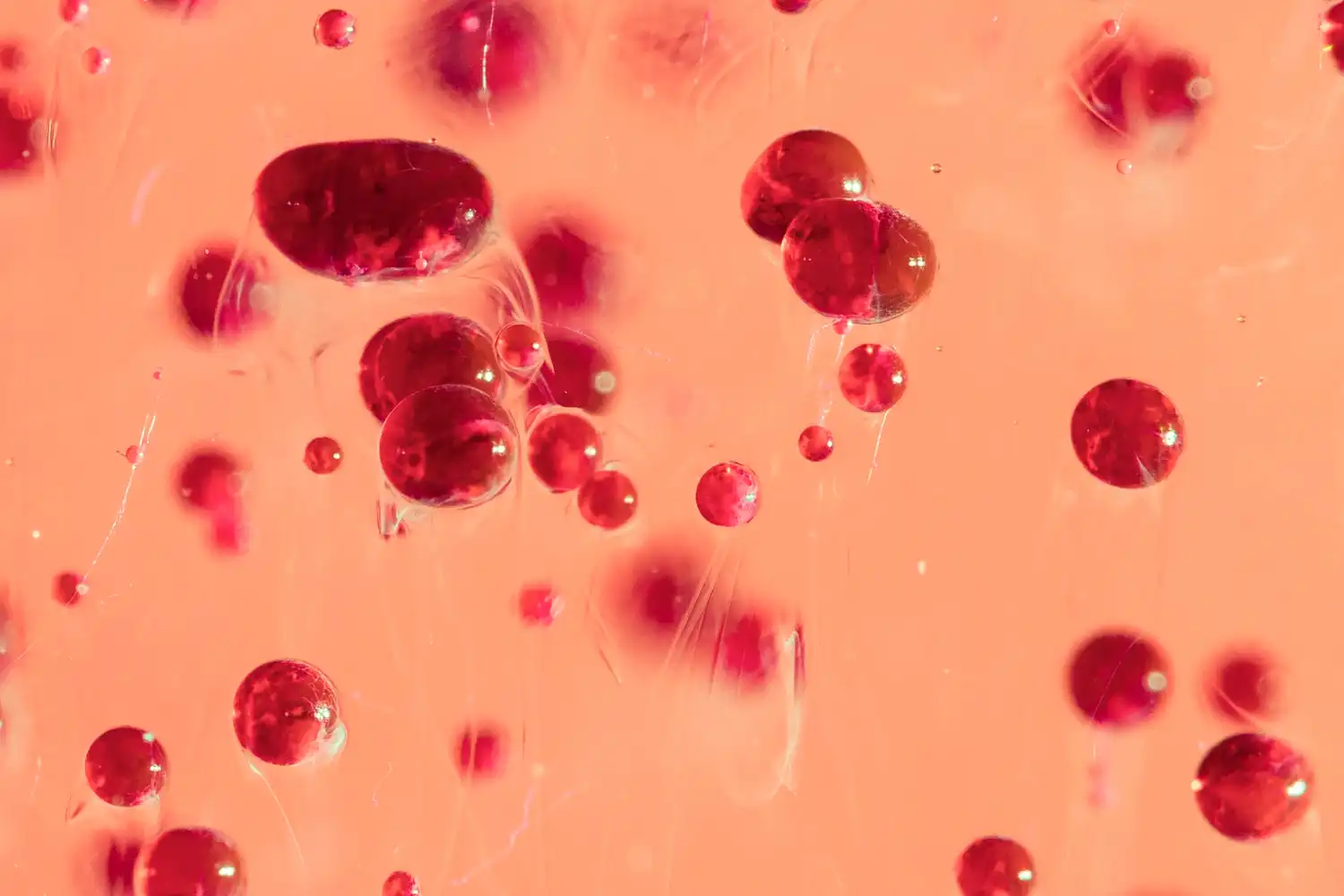 Rejuvenecen células de sangre