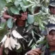 Soldados de El Salvador con camuflaje