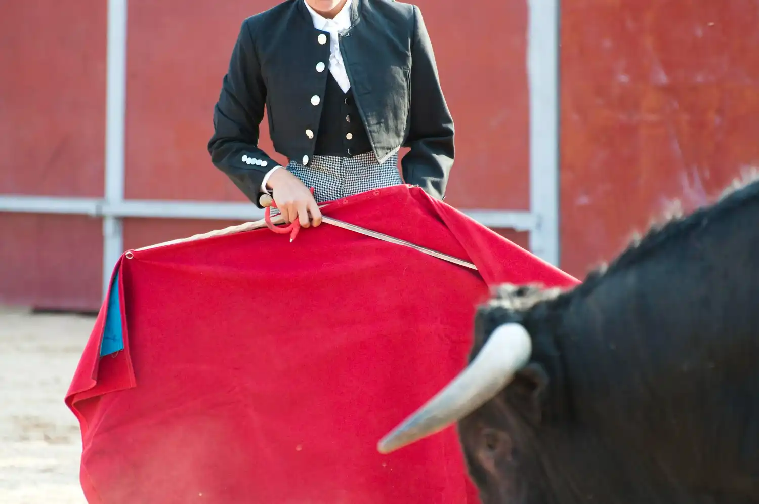 Toros del 9 al 11 de octubre