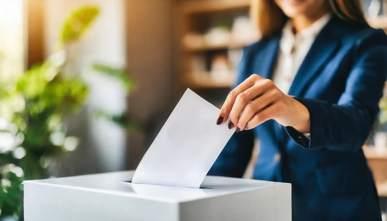 Voto exterior del 29N