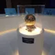 balon de oro