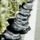 botas de militareses españoles en ceuta