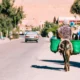 coches en Cisjordania