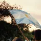 contra la visita de Milei