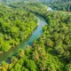la deforestación amazónica