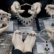 las joyas de Zapatero