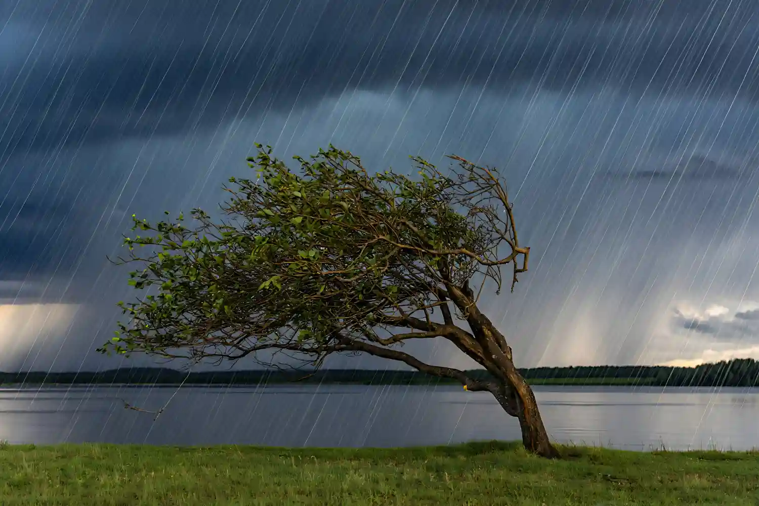 lluvias al sureste y fuerte levante