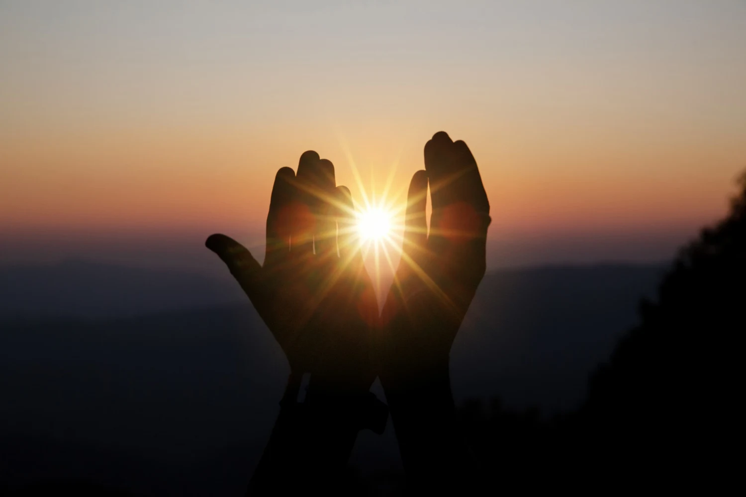 manos semiabiertas luz del sol