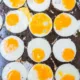 salmonela en huevos