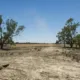 tierras abandonadas volverán al cultivo