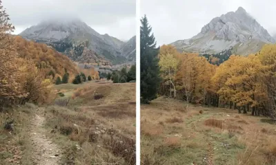 una foto es real o de IA
